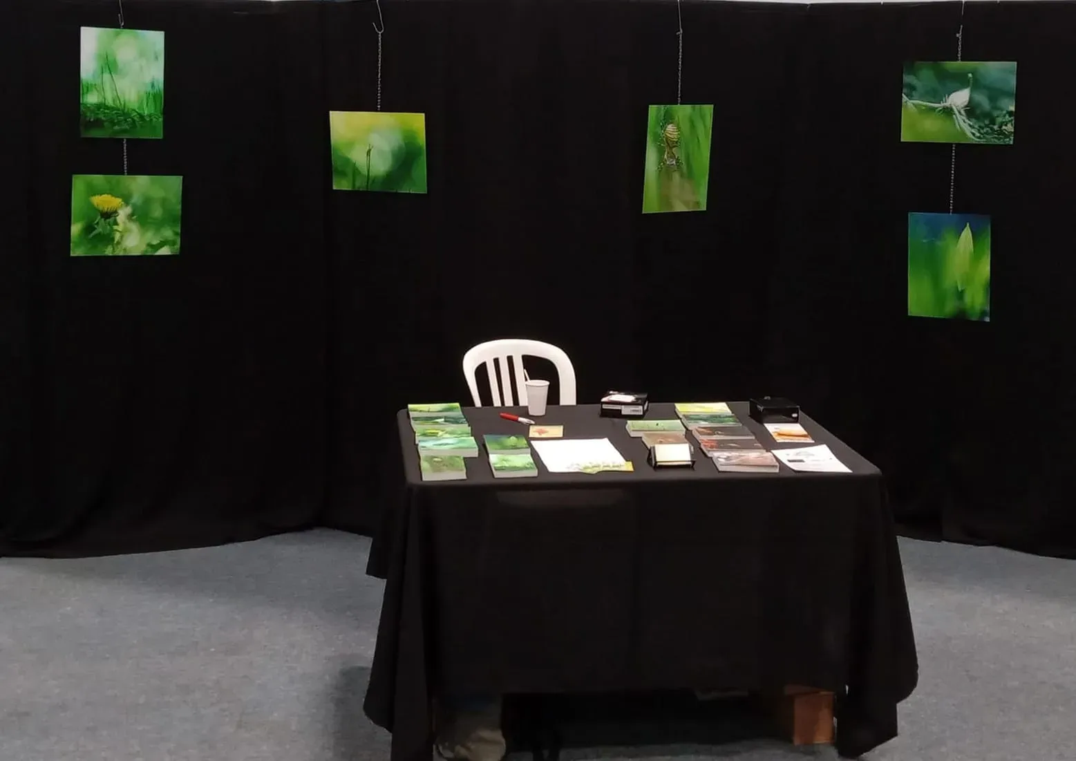stand