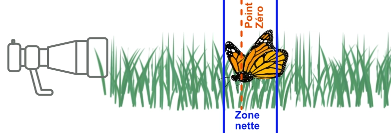 schema_compo_nettete2.webp