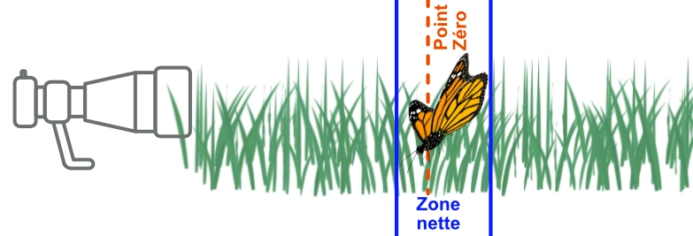 schema_compo_nettete3.webp